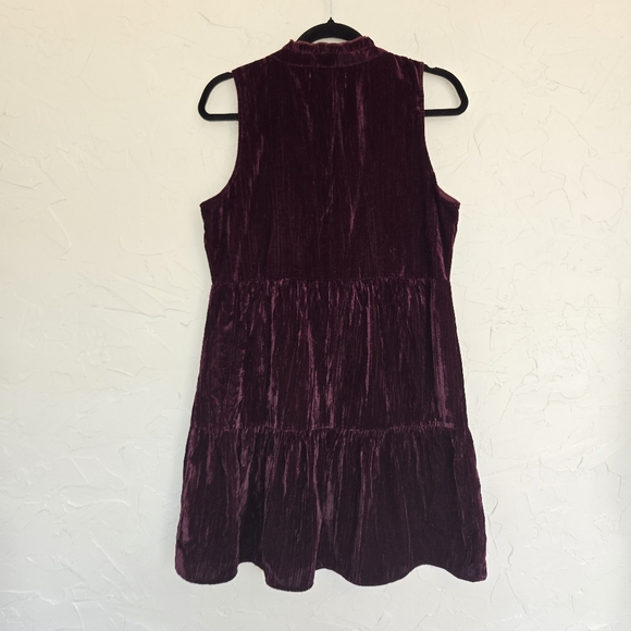 Dear John Velvet Plum Purple Tiered Dress - Picture 7 of 10